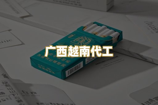 广西越南代工